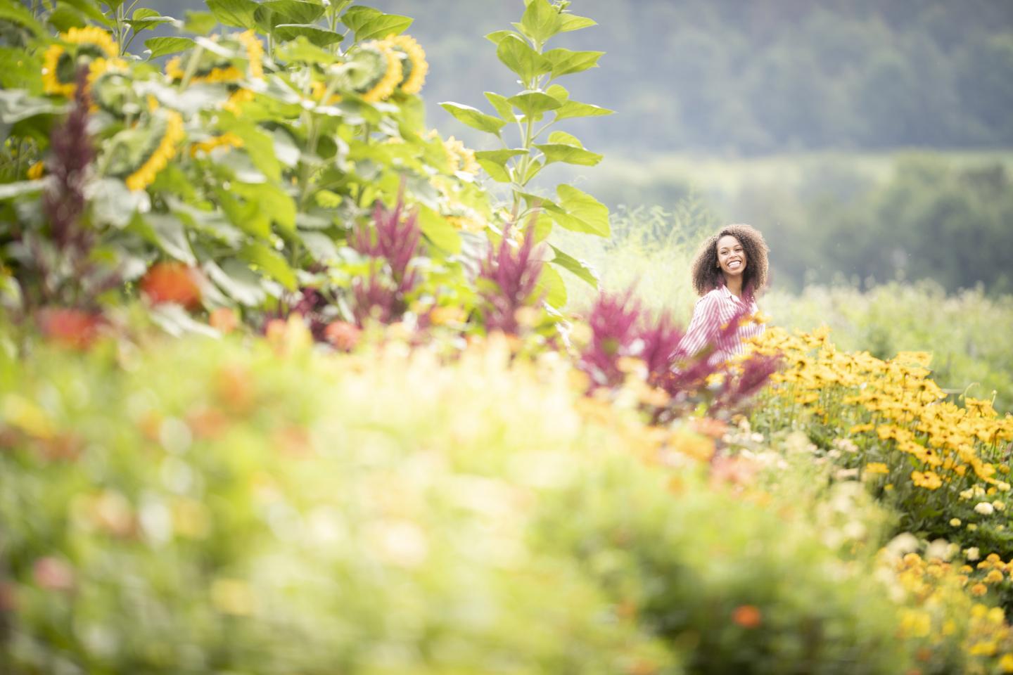 Sunflower House
