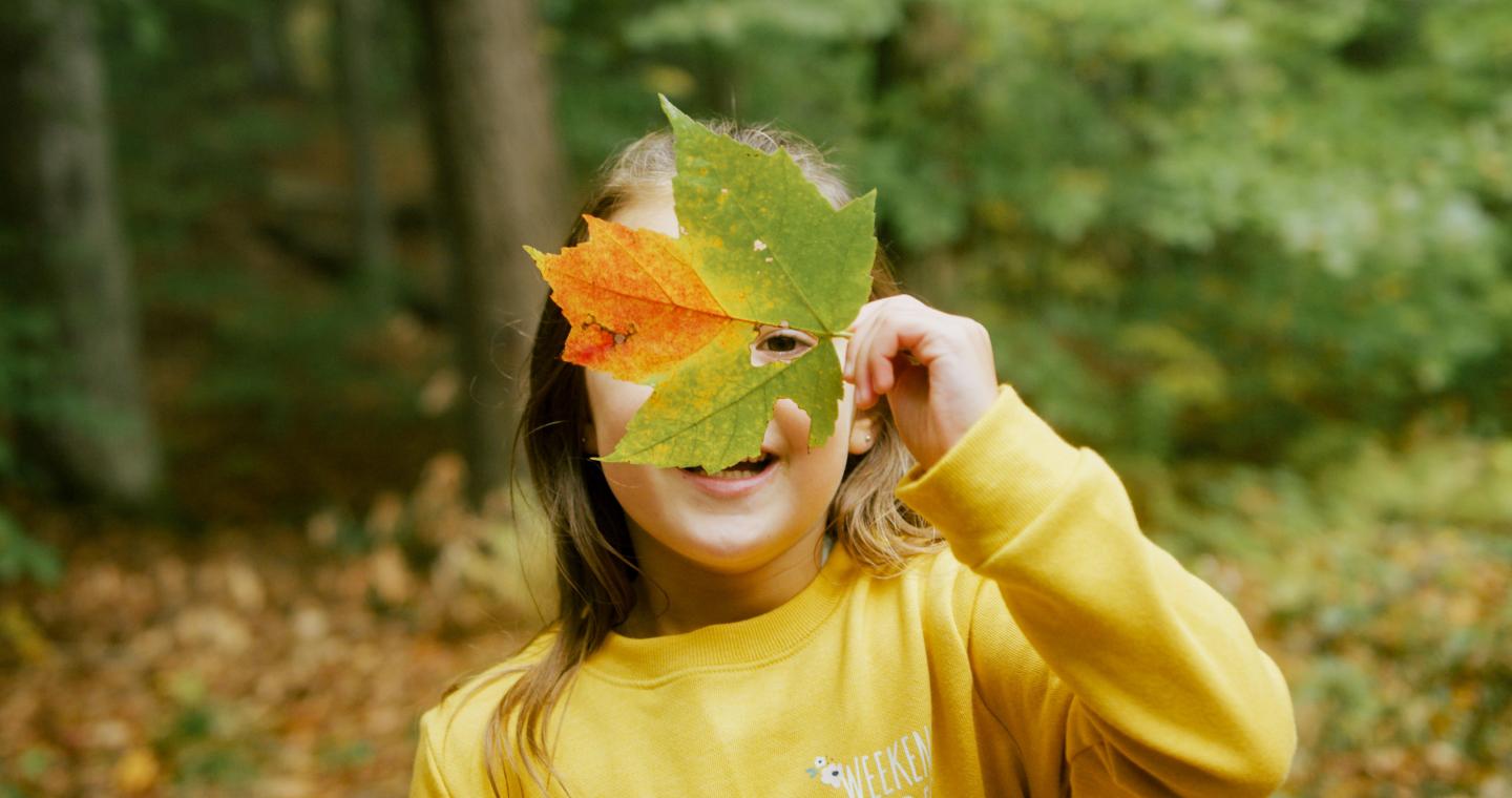 Girl plays with fall leaves