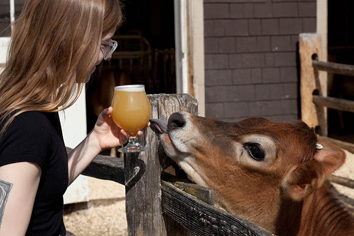 Beer Tastings at Billings Farm