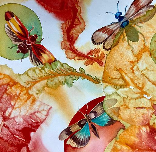 Wings & Things Watercolor