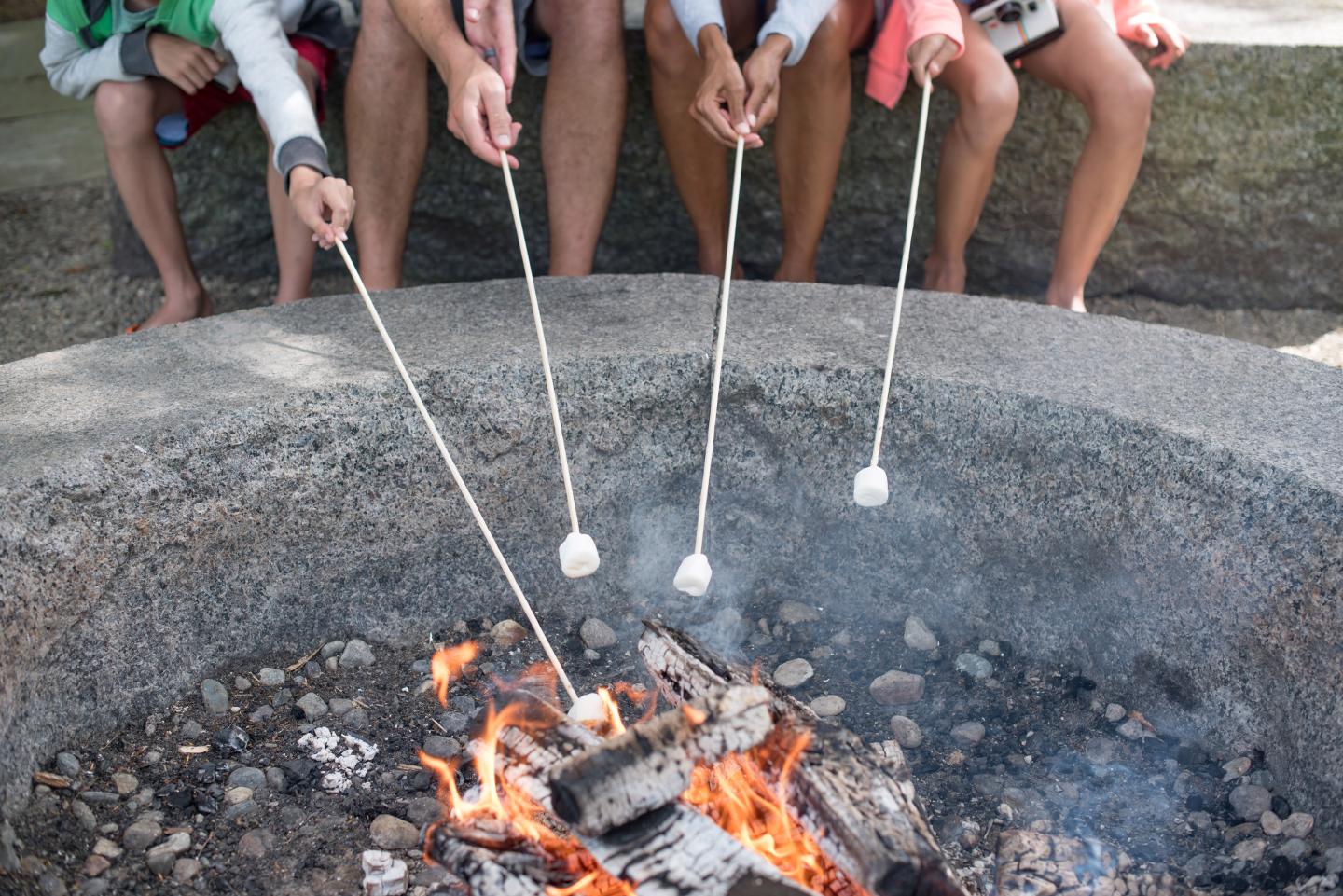 Family S'Mores
