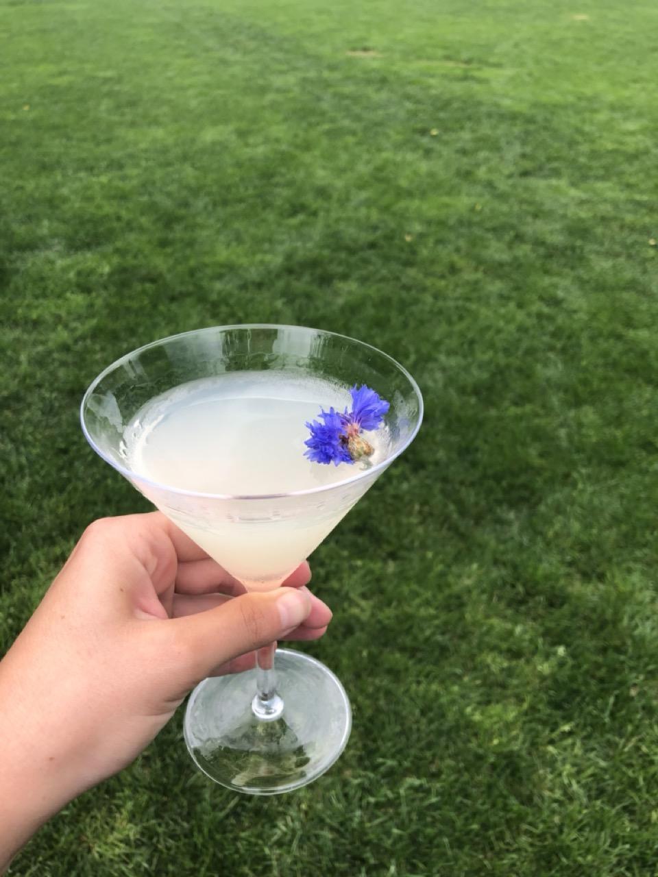 The Botanical Cocktail