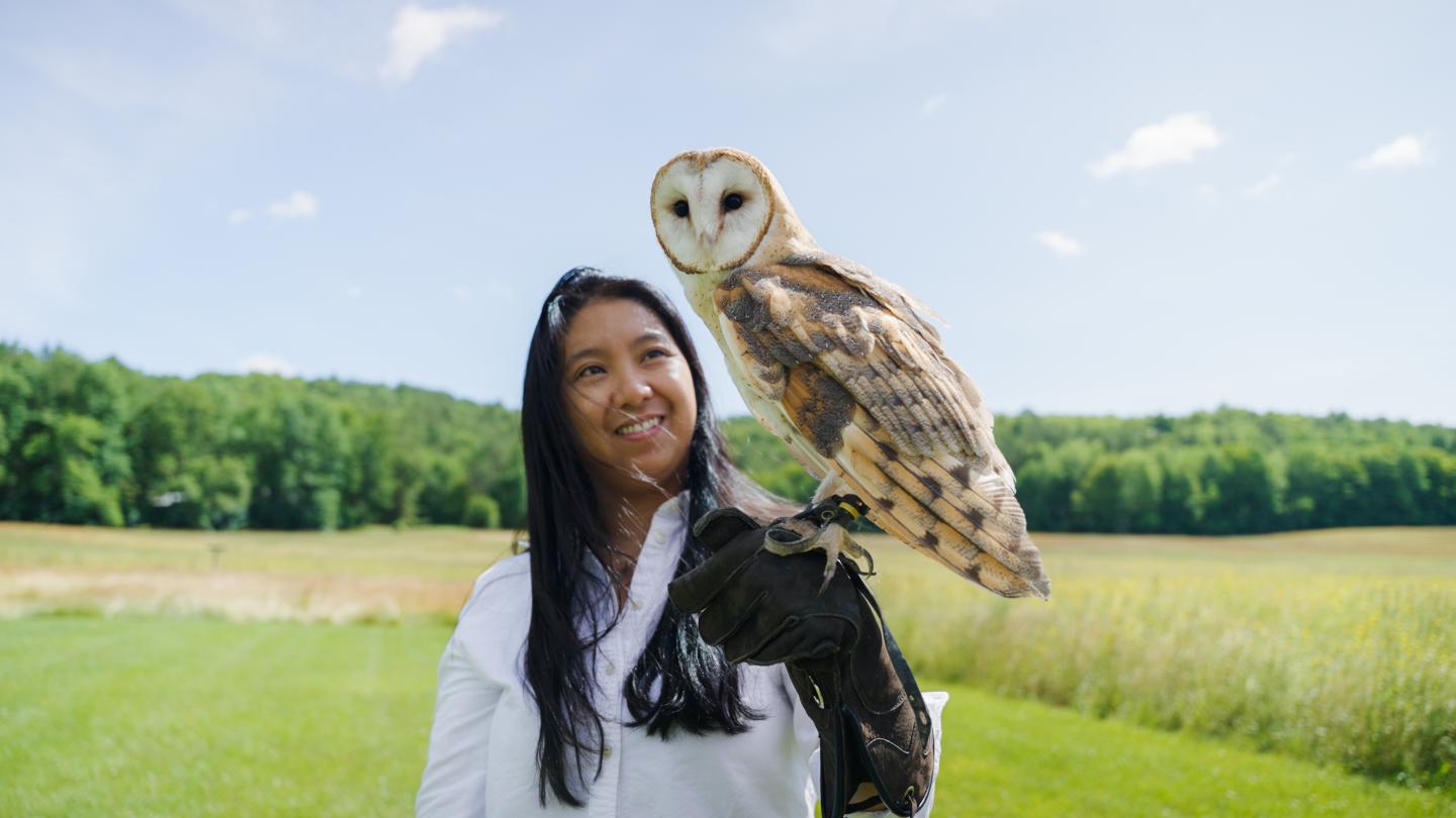 Barn Owl on Guest arm