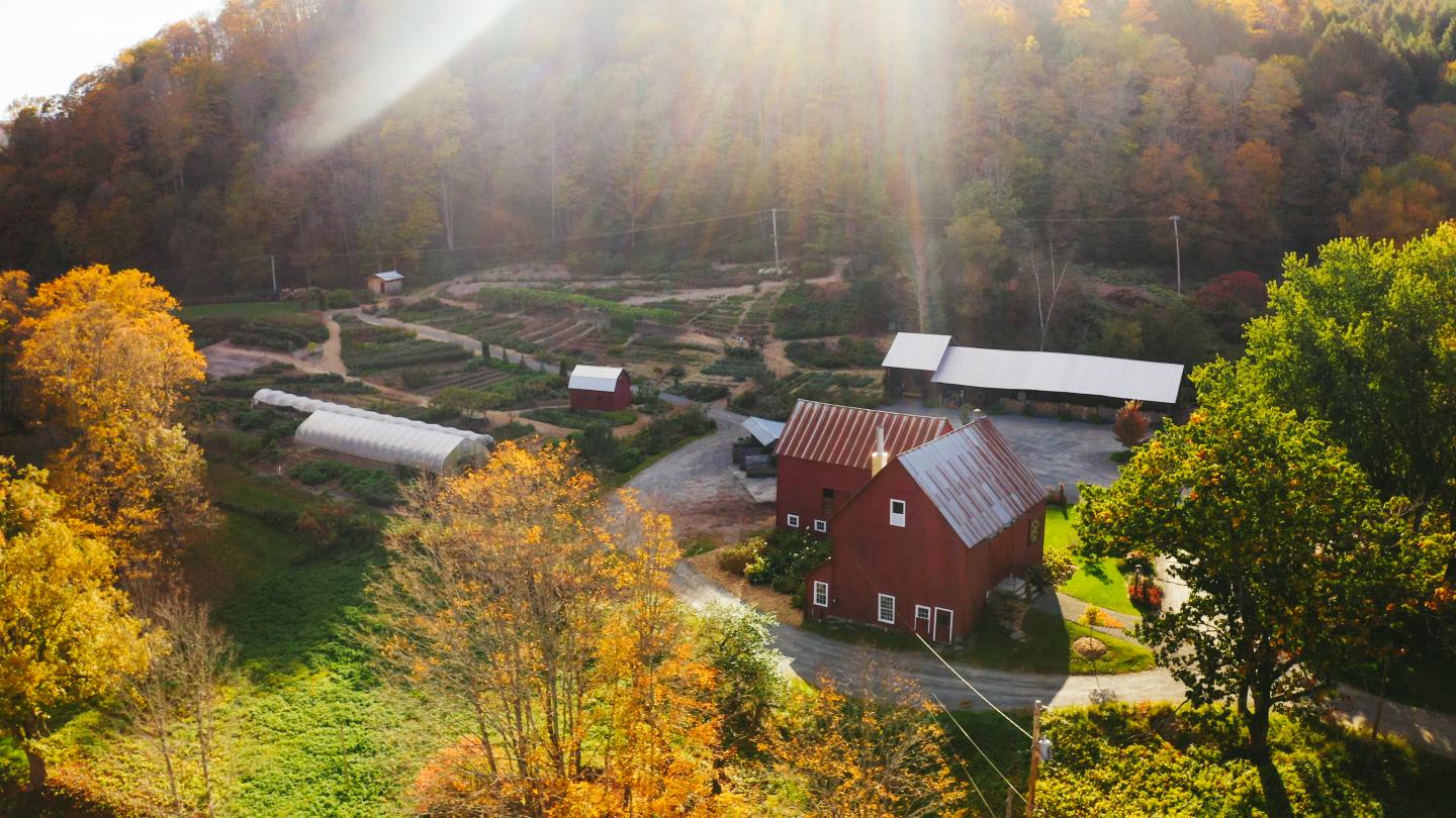 When is a garden more than just a garden?