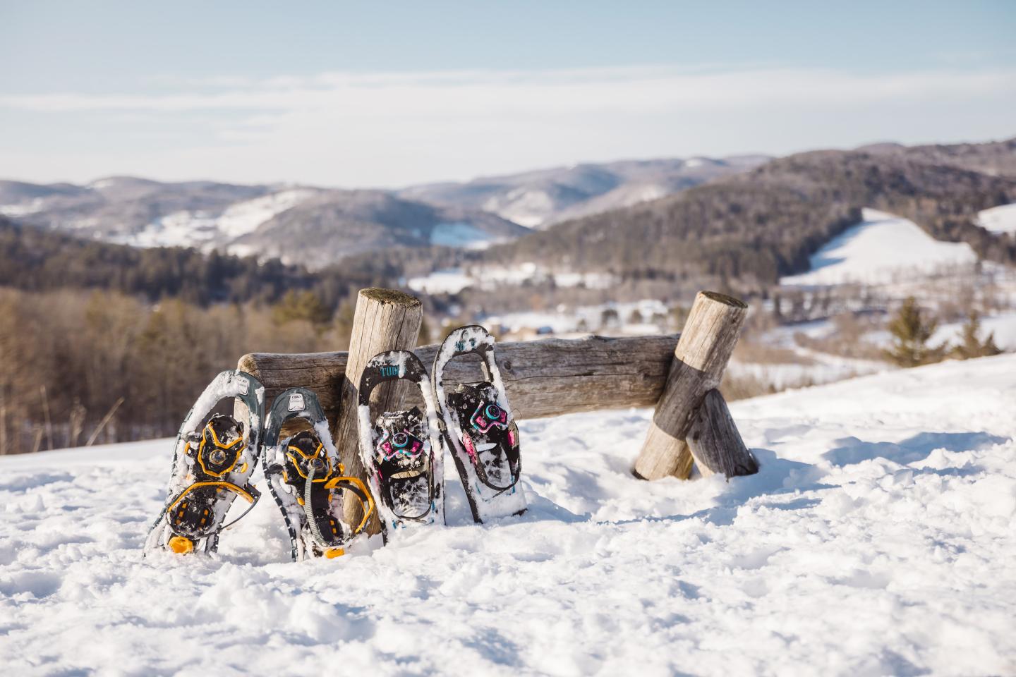 Snowshoes at the peak