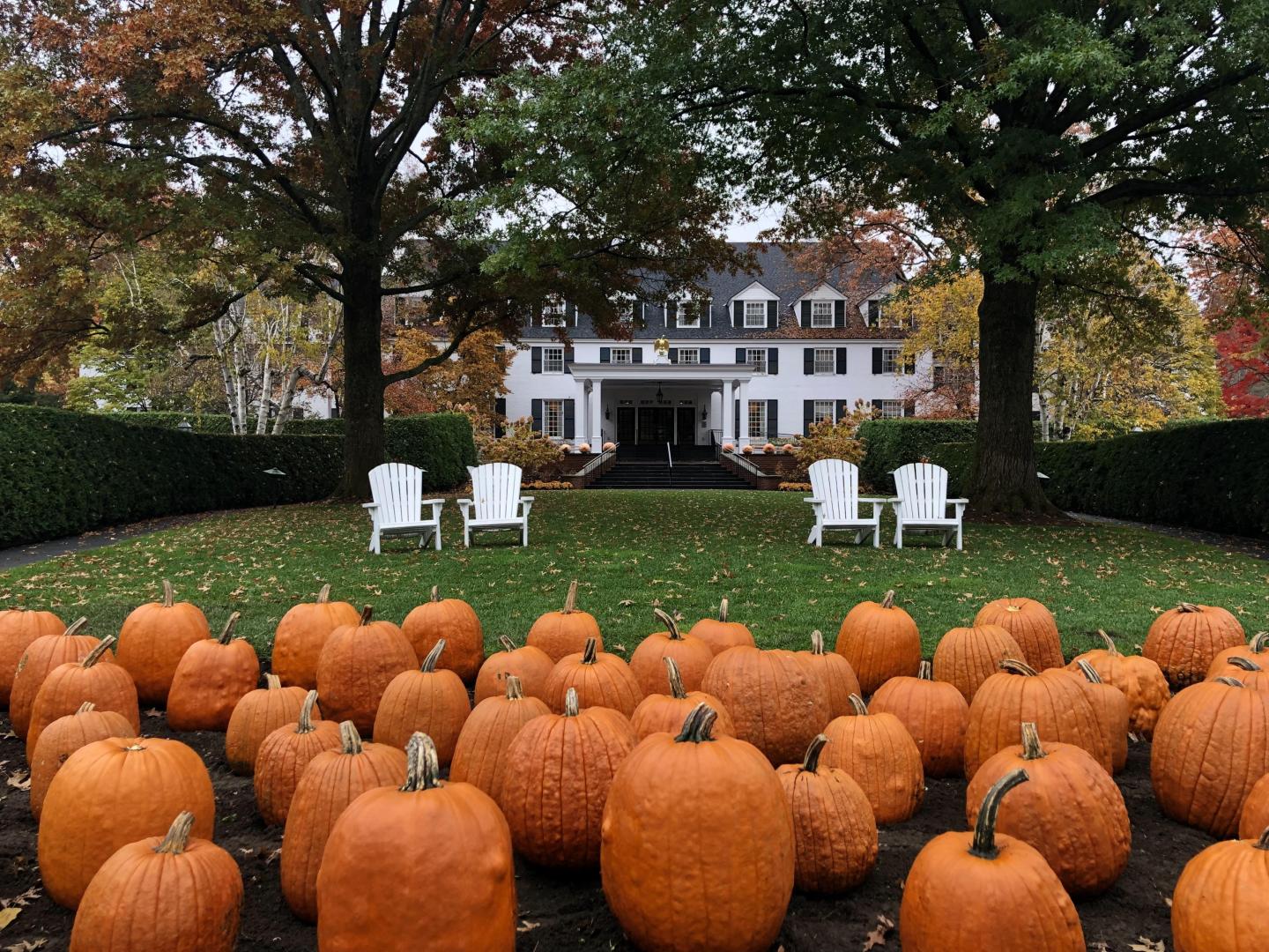 Woodstock Inn Fall Pumpkins
