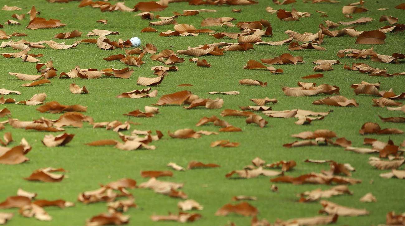 Golf Ball in Fall Leaves from Golf Digest