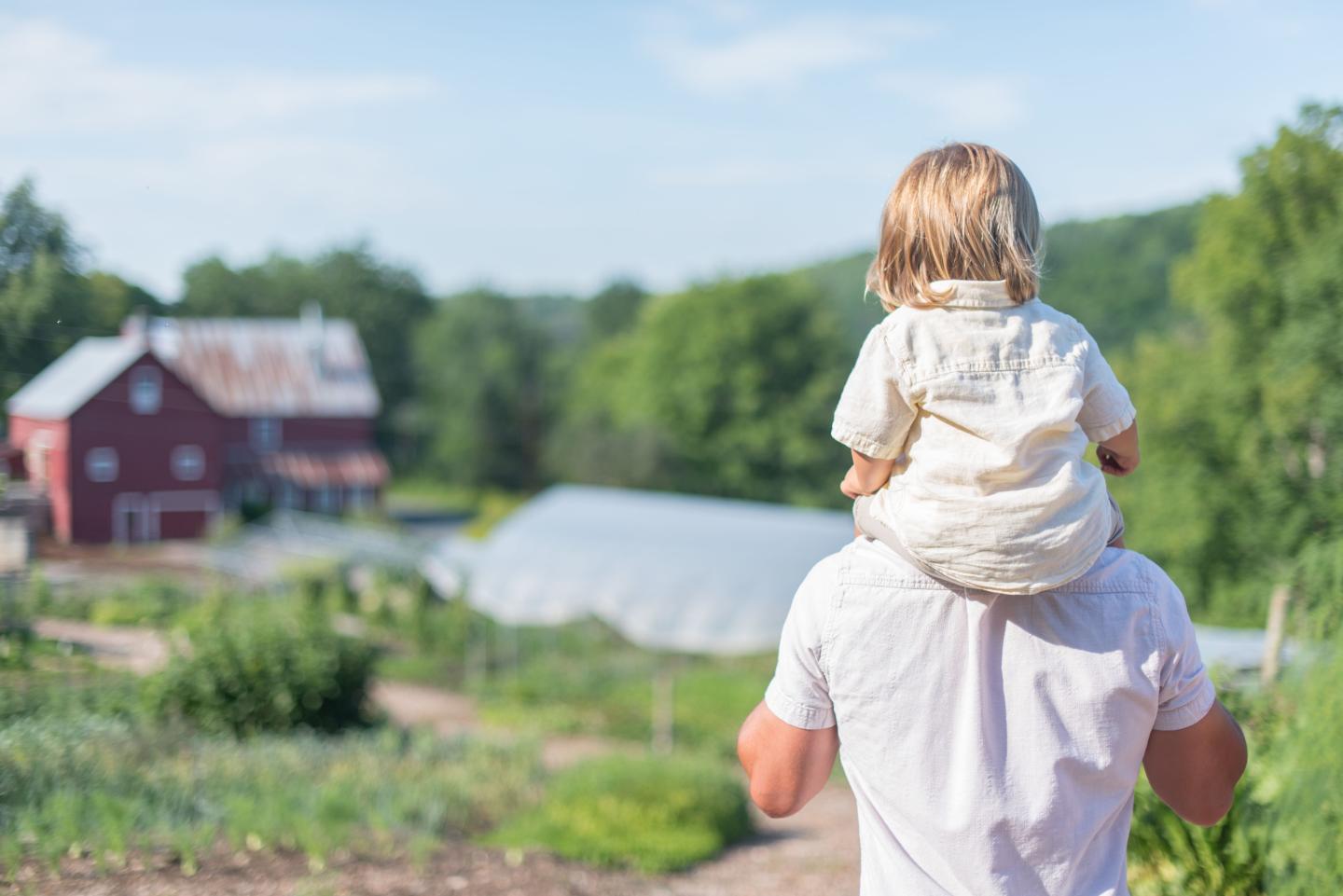 Child sitting on fathers shoulders. A red barn is seen in the distance past a large gardens area.