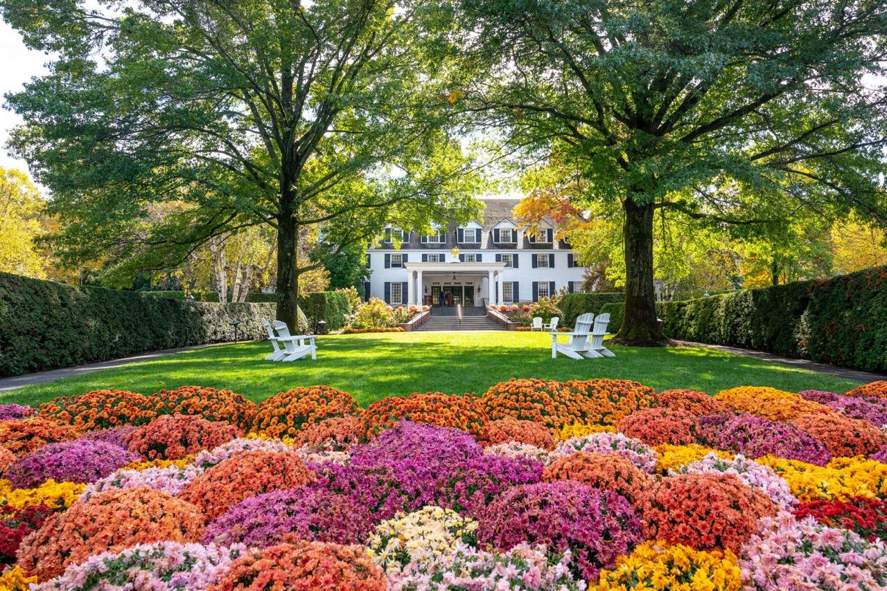 Bright and colorful mums in the front garden bed of The Woodstock Inn