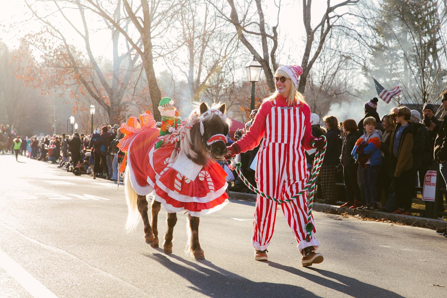 Wassail Equestrian Parade