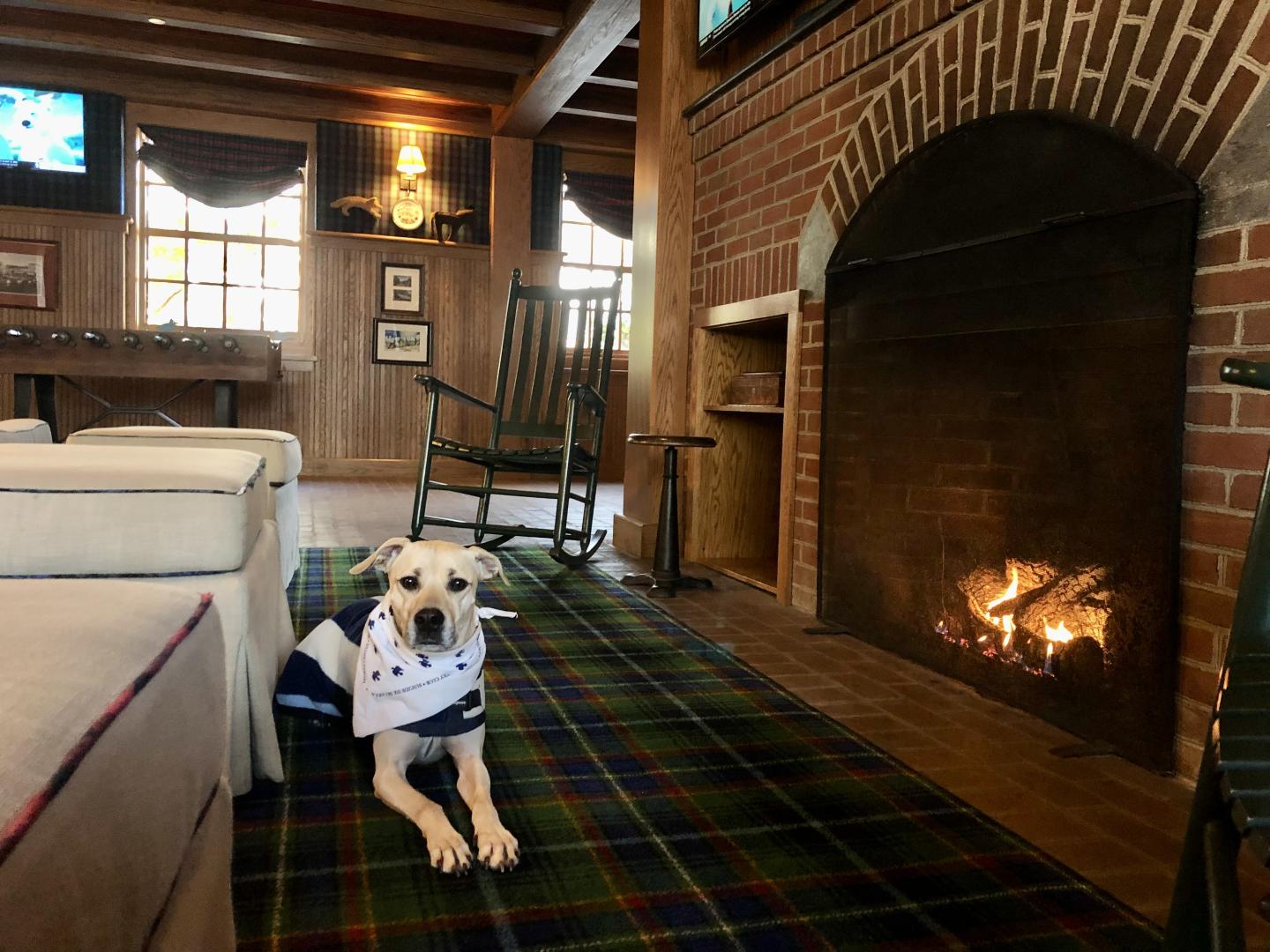 Woodstock Inn Game Room with dog laying by the fireplace