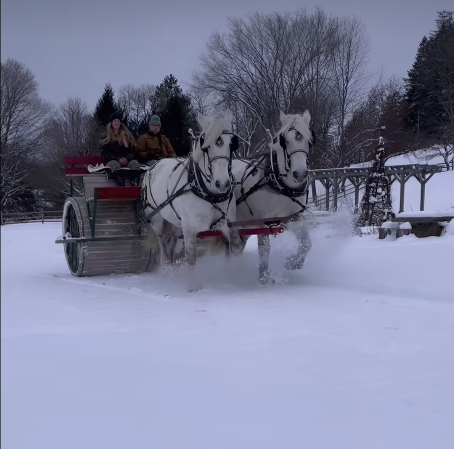 Billings Farm Horse Drawn Groomer