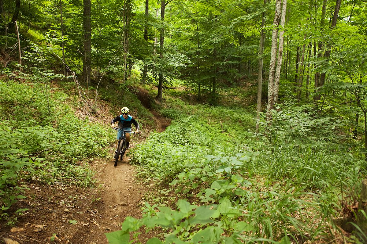 Mountain biker in a vibrant forest