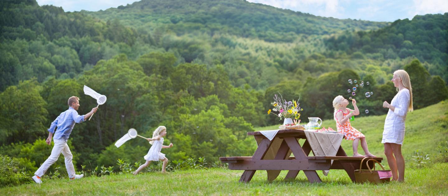 Outdoor Family Picnic in Woodstock