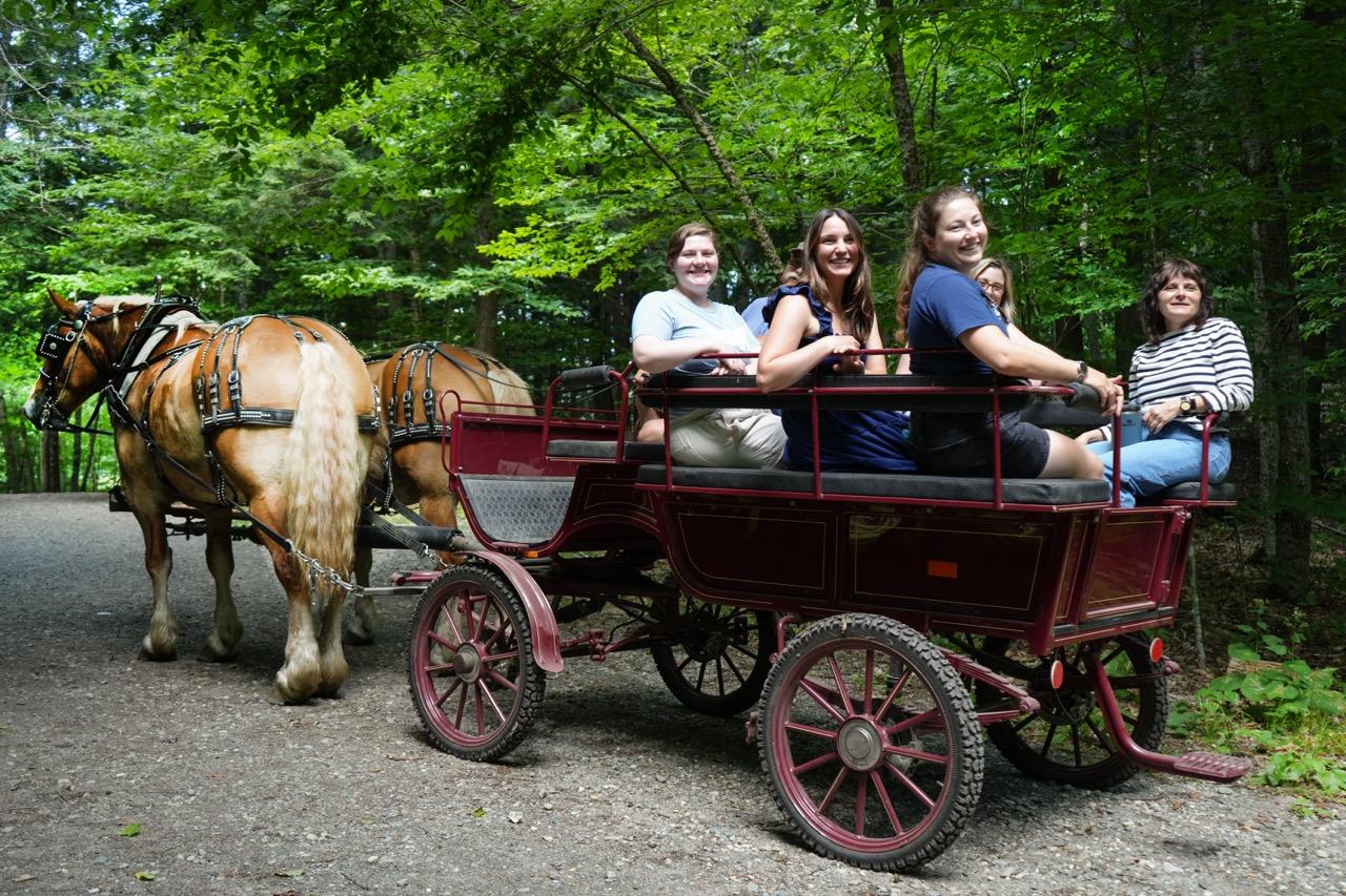 Wagon ride in the National Park.