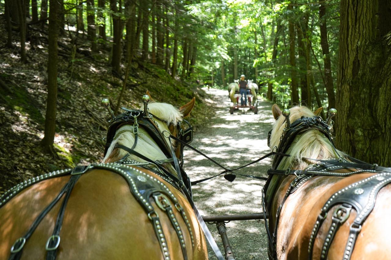 Horse-drawn wagon ride on the trails at the National Park.