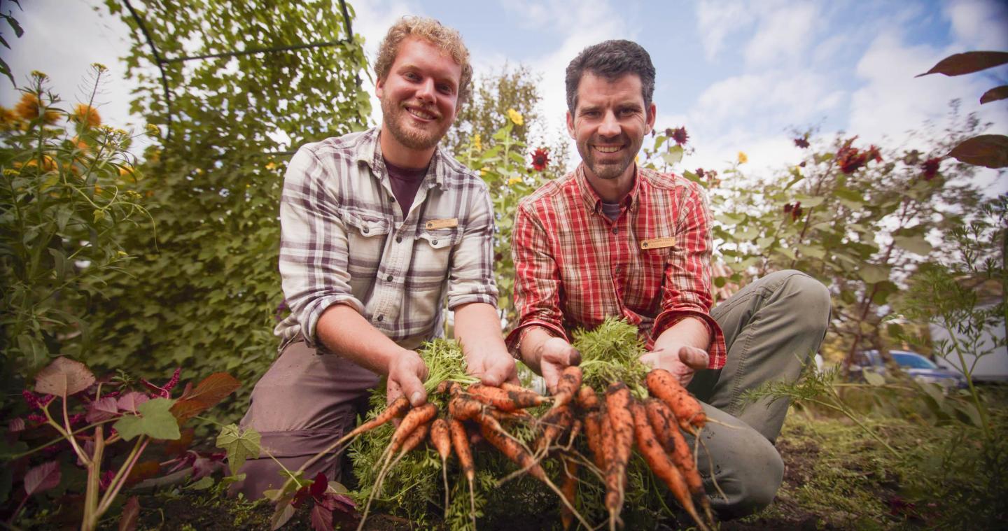 Gardeners hold freshly picked carrots up to the camera