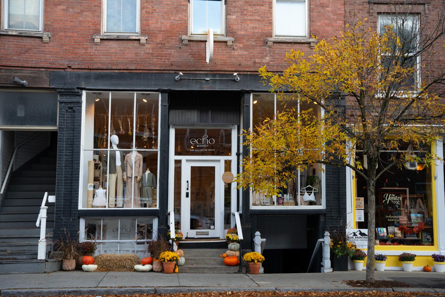 Echo Market Shopping