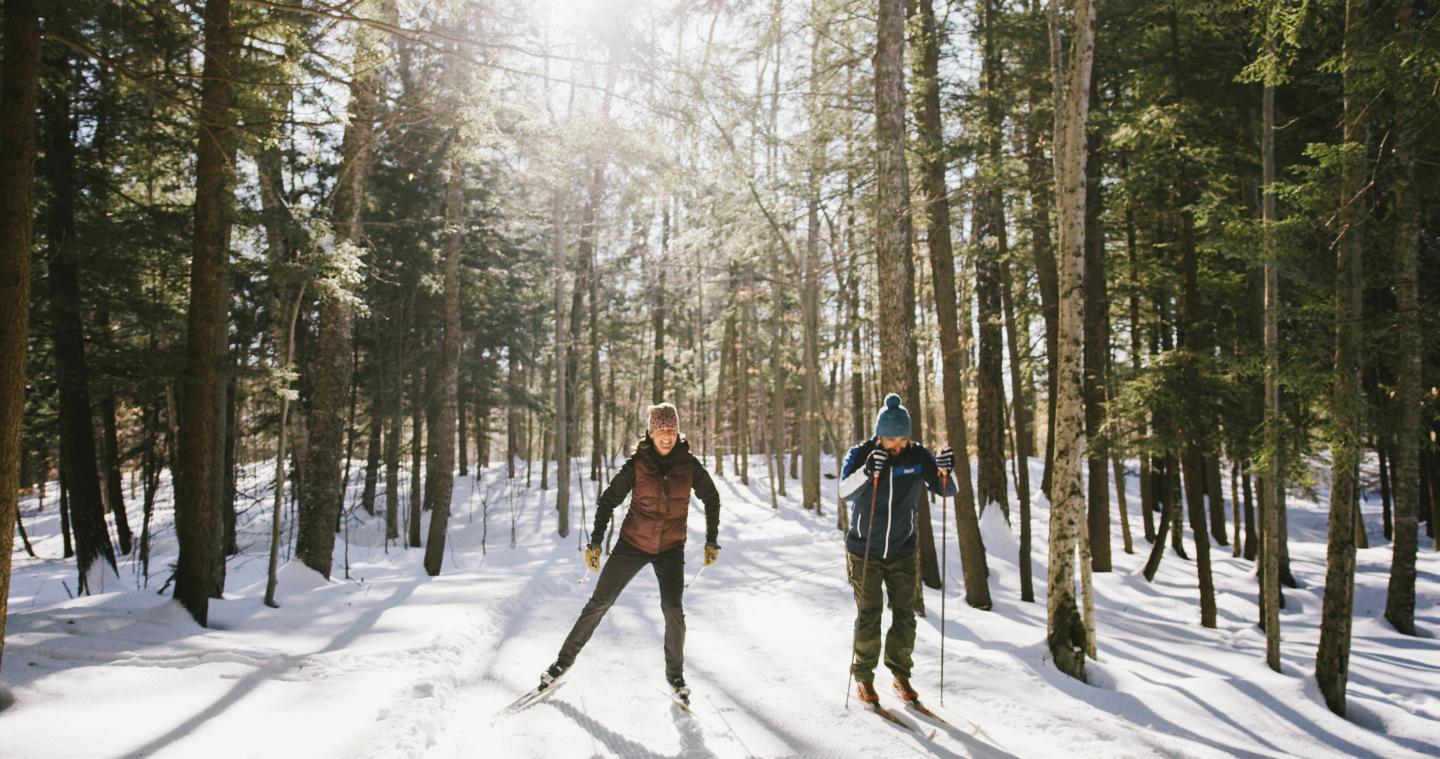 Cross Country Skiers on Trail