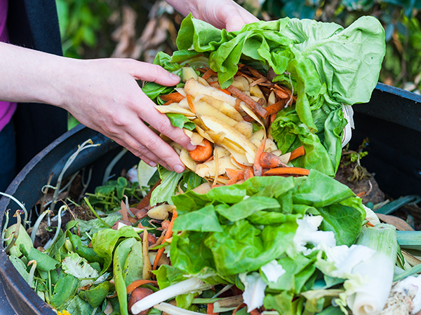 Hands putting food scraps into a compost bin
