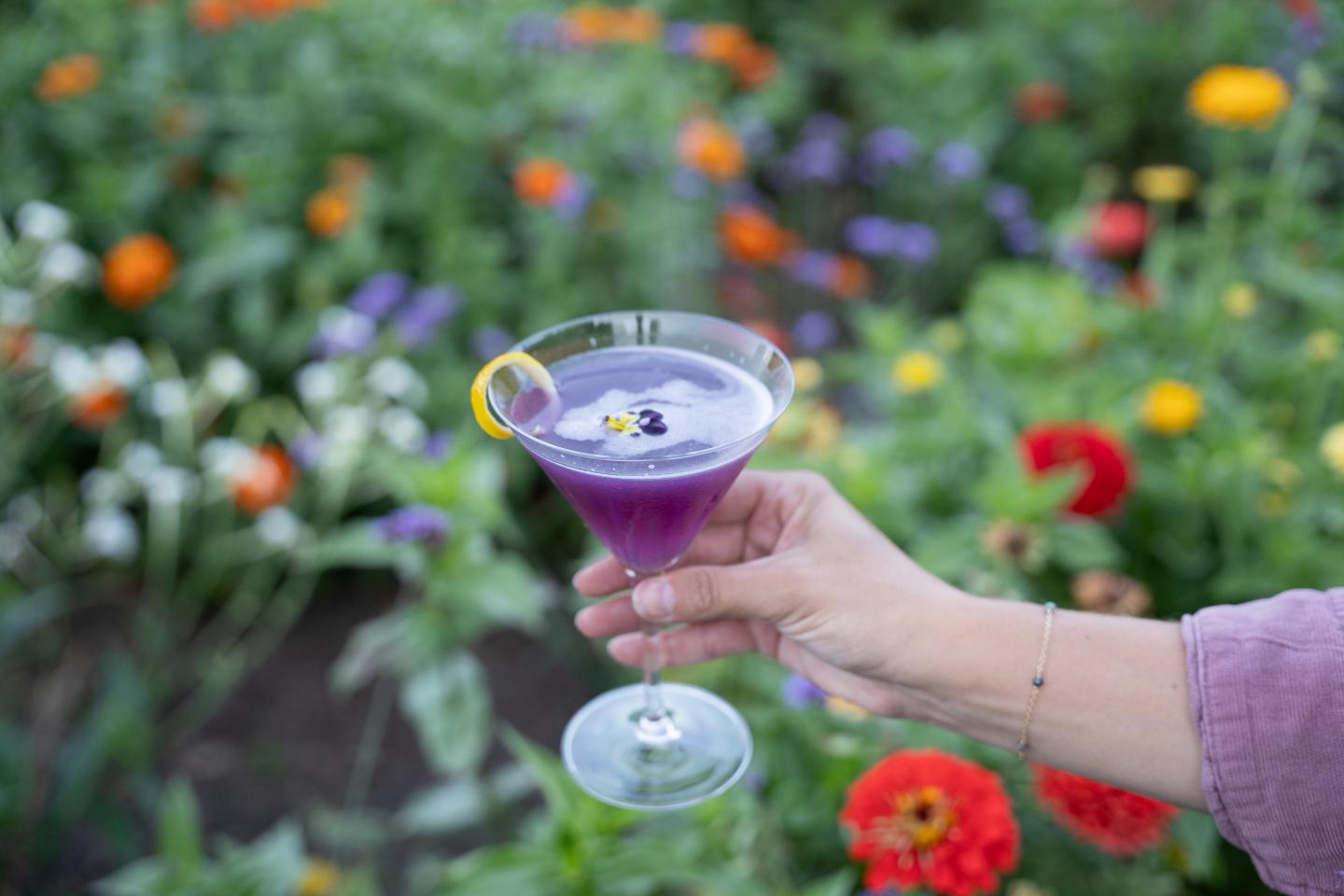 Purple cocktail in the garden