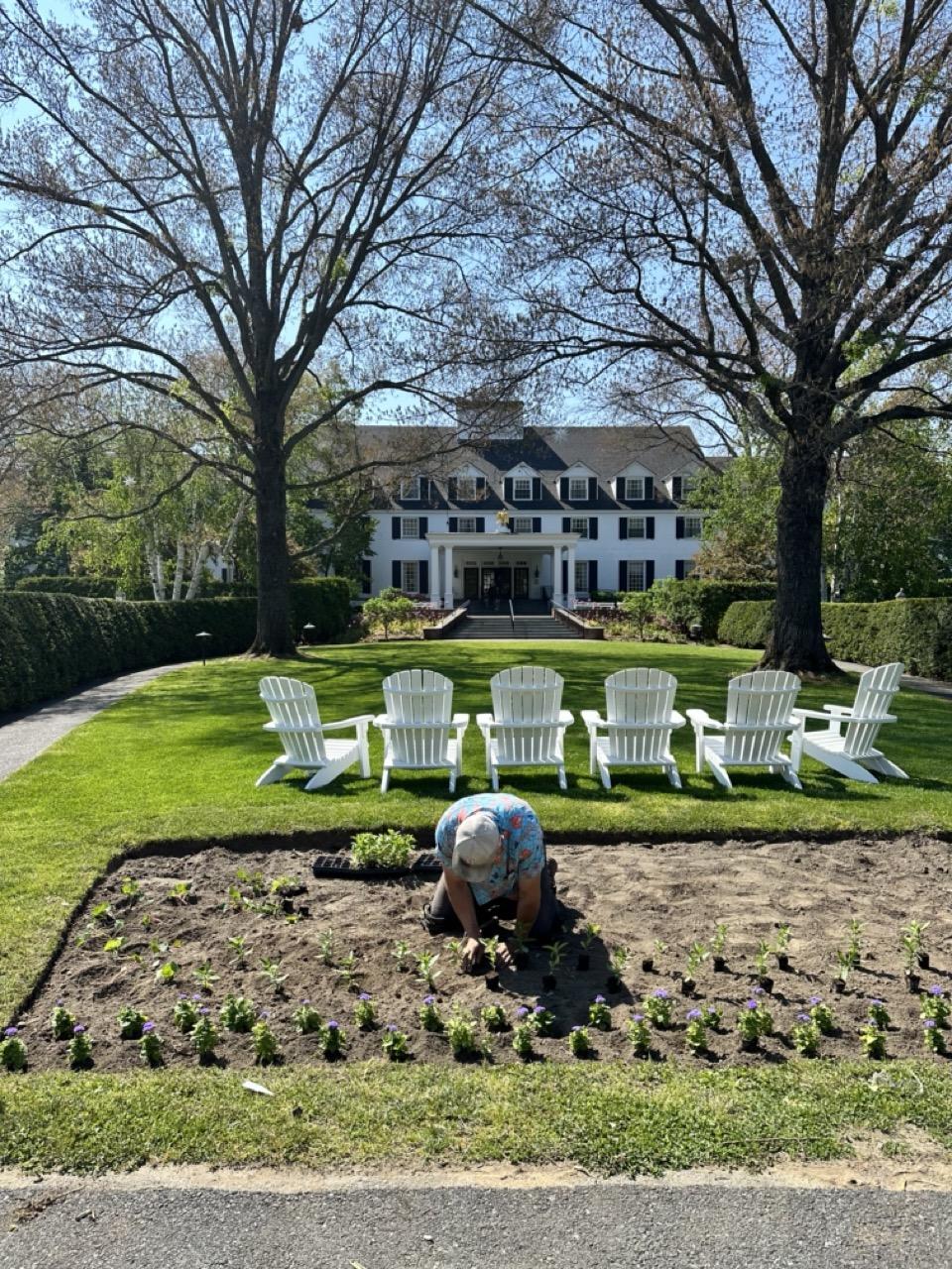 Gardener planting flowers, white house, and trees in the background.