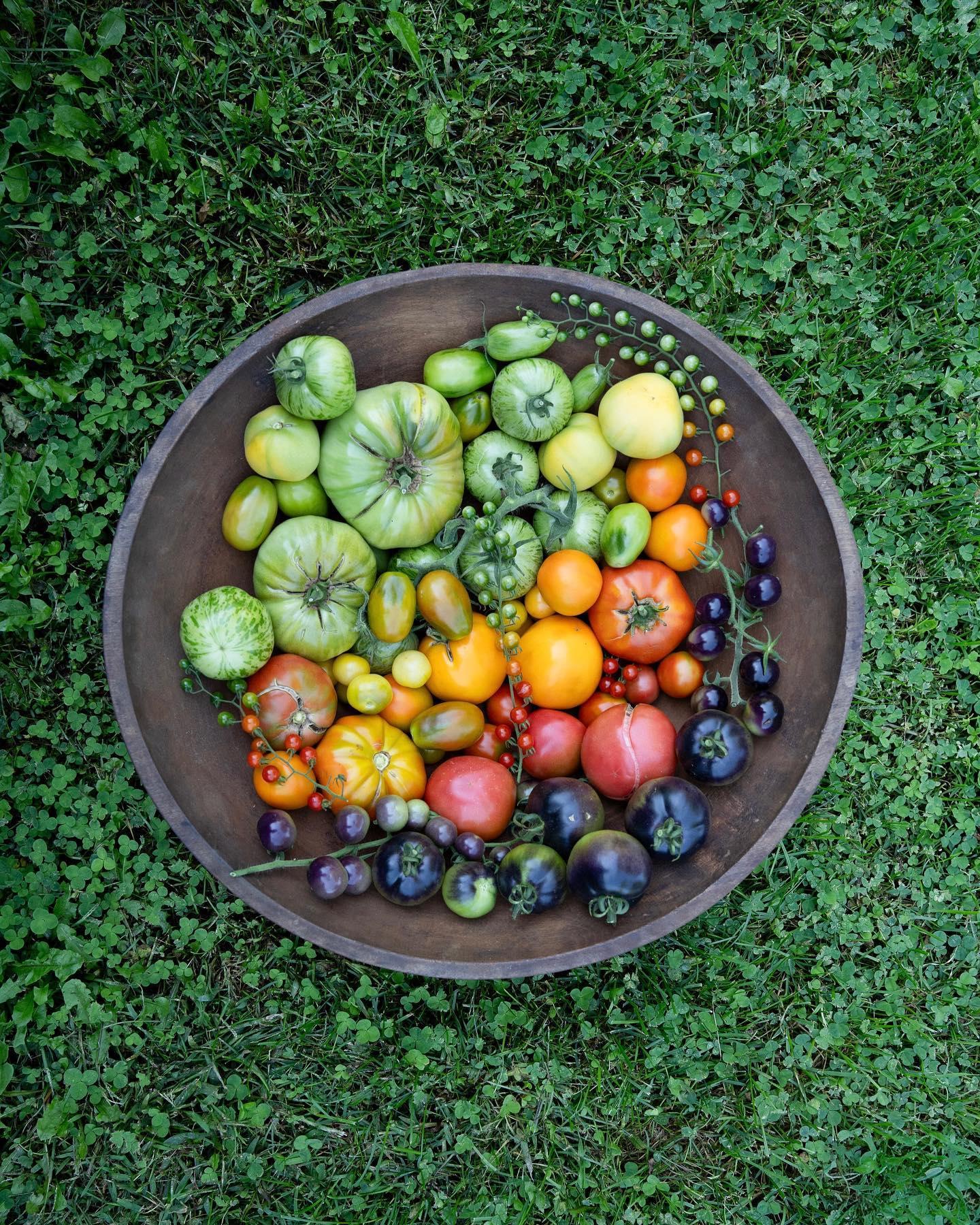 Woodstock Garden Day