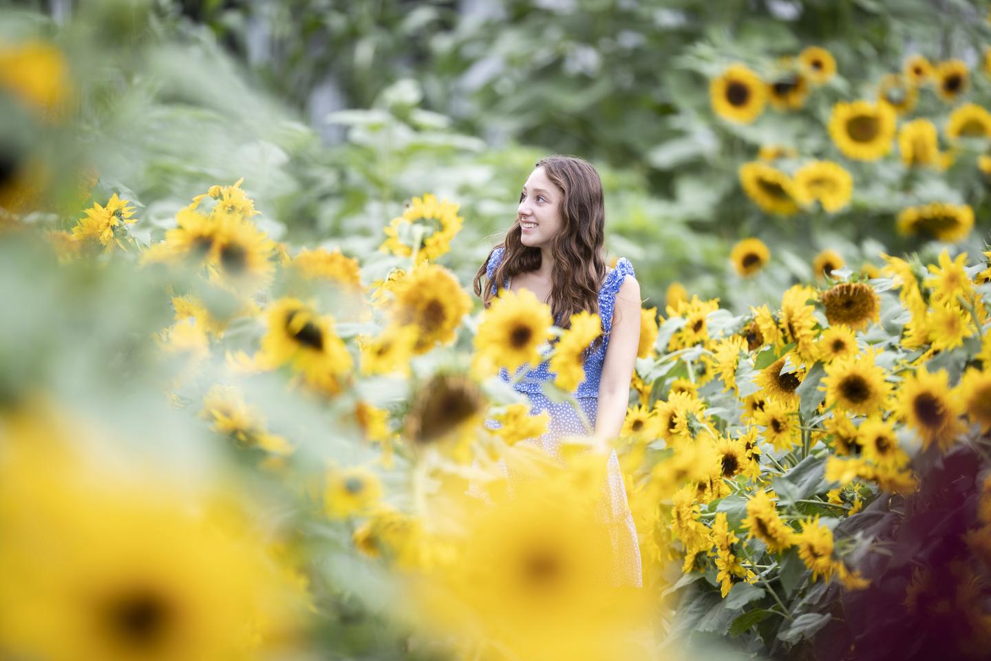 Sunflower House at Billings Farm & Museum