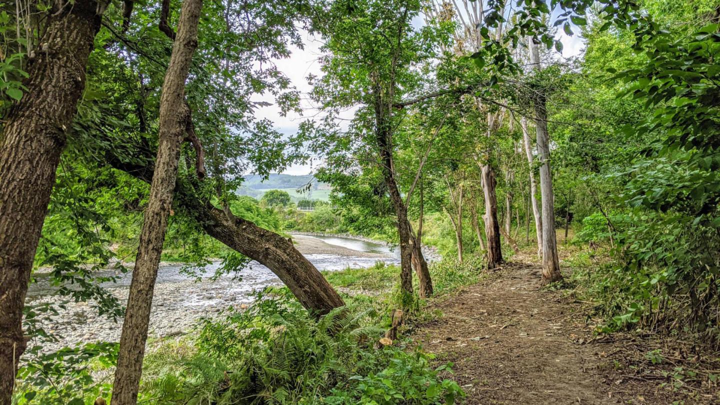 Wooded path beside a stream under a cloudy sky.
