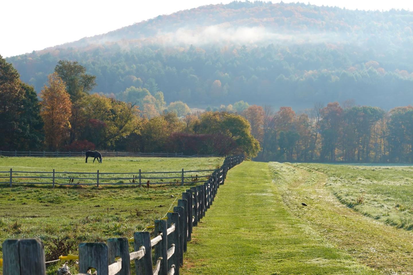 Path with wooden fence, autumn trees, and a horse in a misty field.