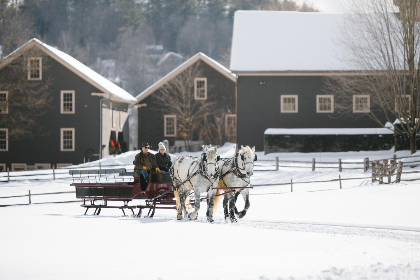 Horse-drawn sleigh on snowy path with houses in the background.