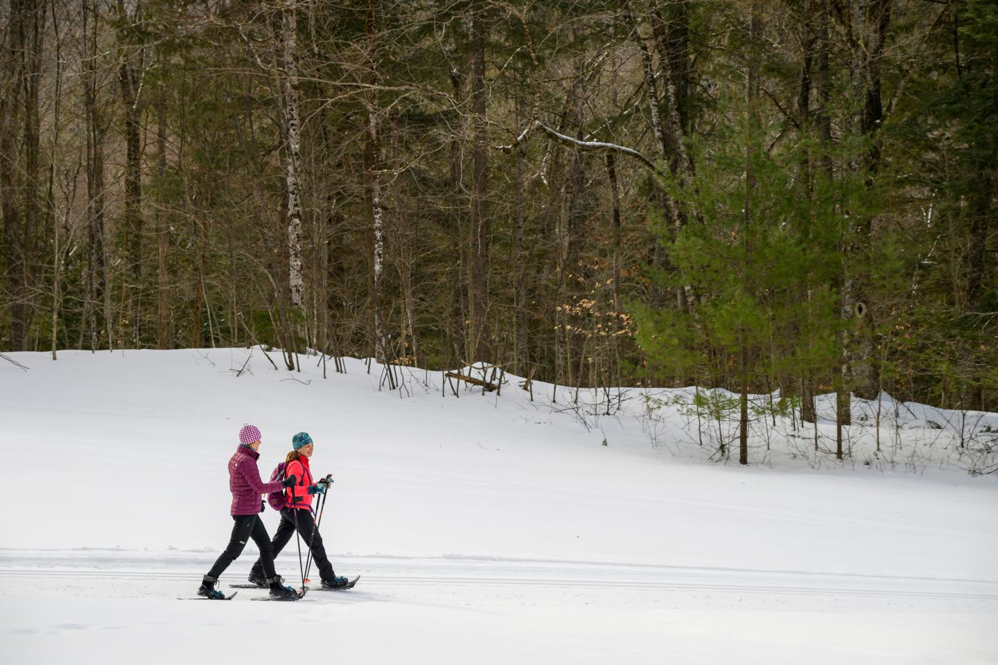 Two people snowshoeing through a snowy forest clearing.