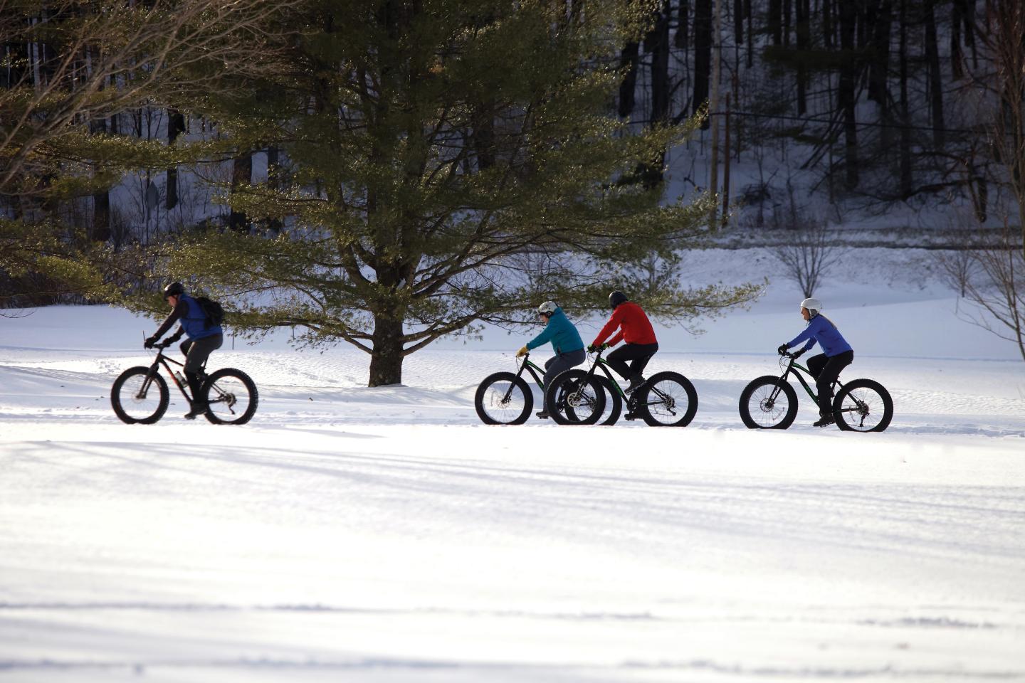 Four people ride fat bikes on snow-covered ground near a tree.