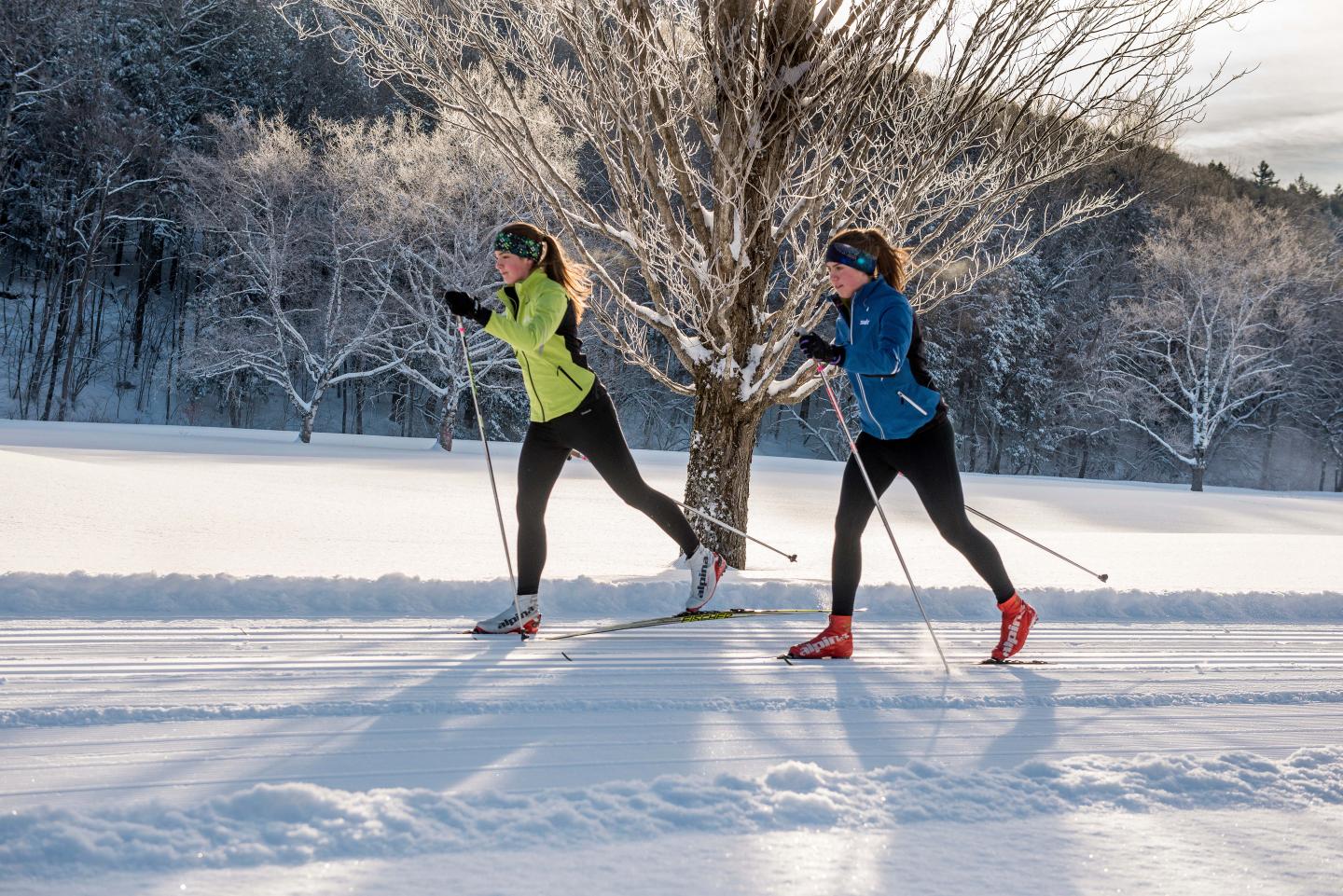 Two people cross-country skiing on a snowy trail in winter sunlight.