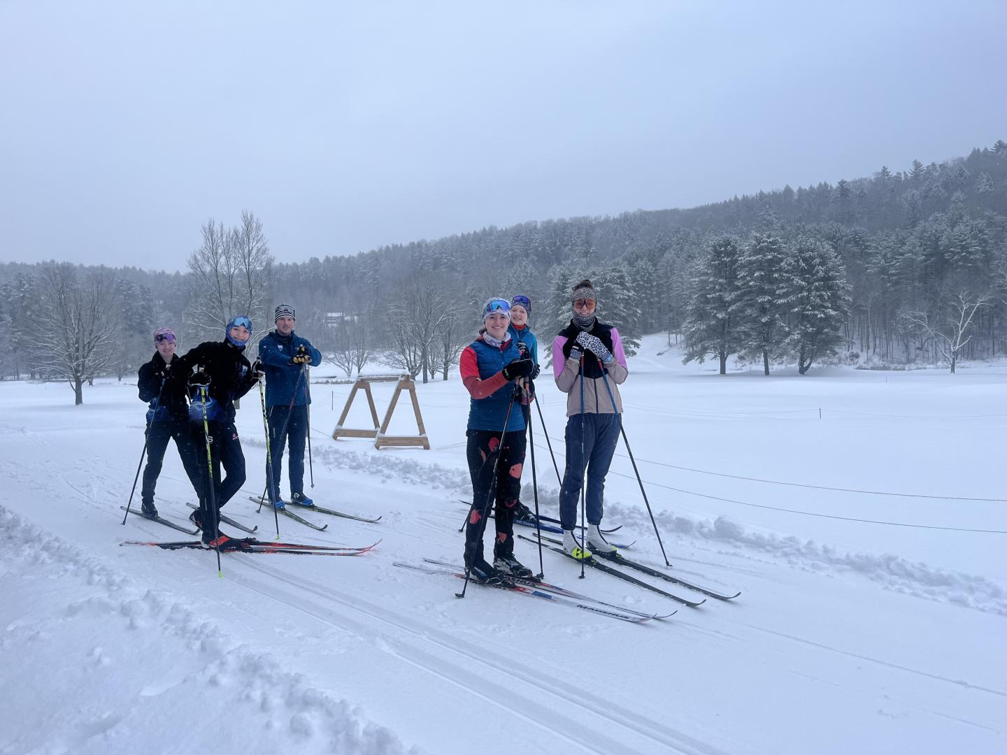 Cross-country skiers on a snowy trail, trees in the background.