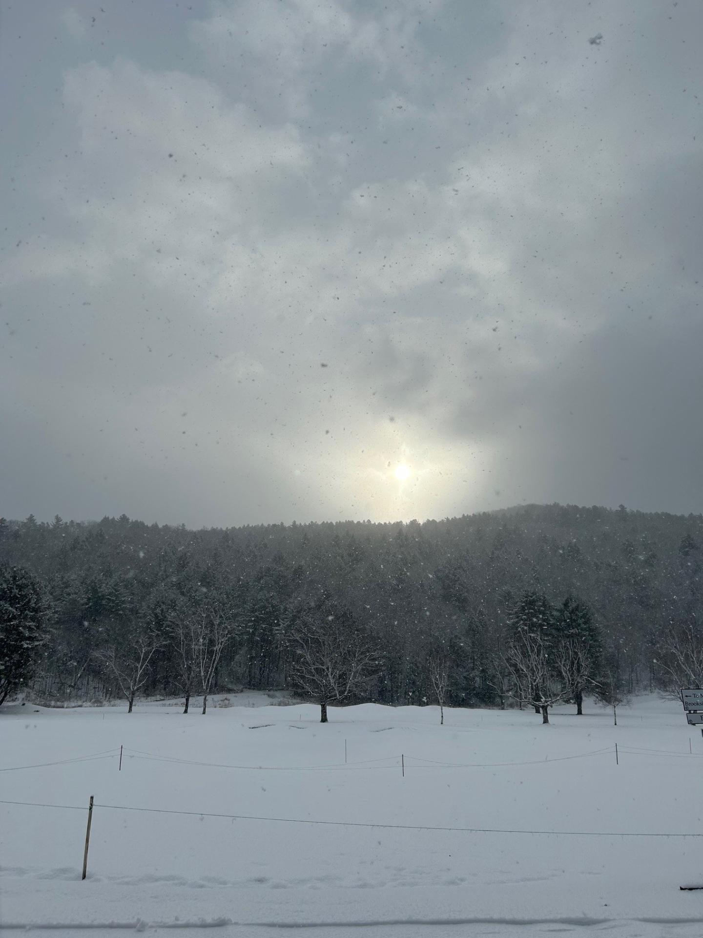 Snowy landscape with sun peeking through cloudy sky over distant trees.