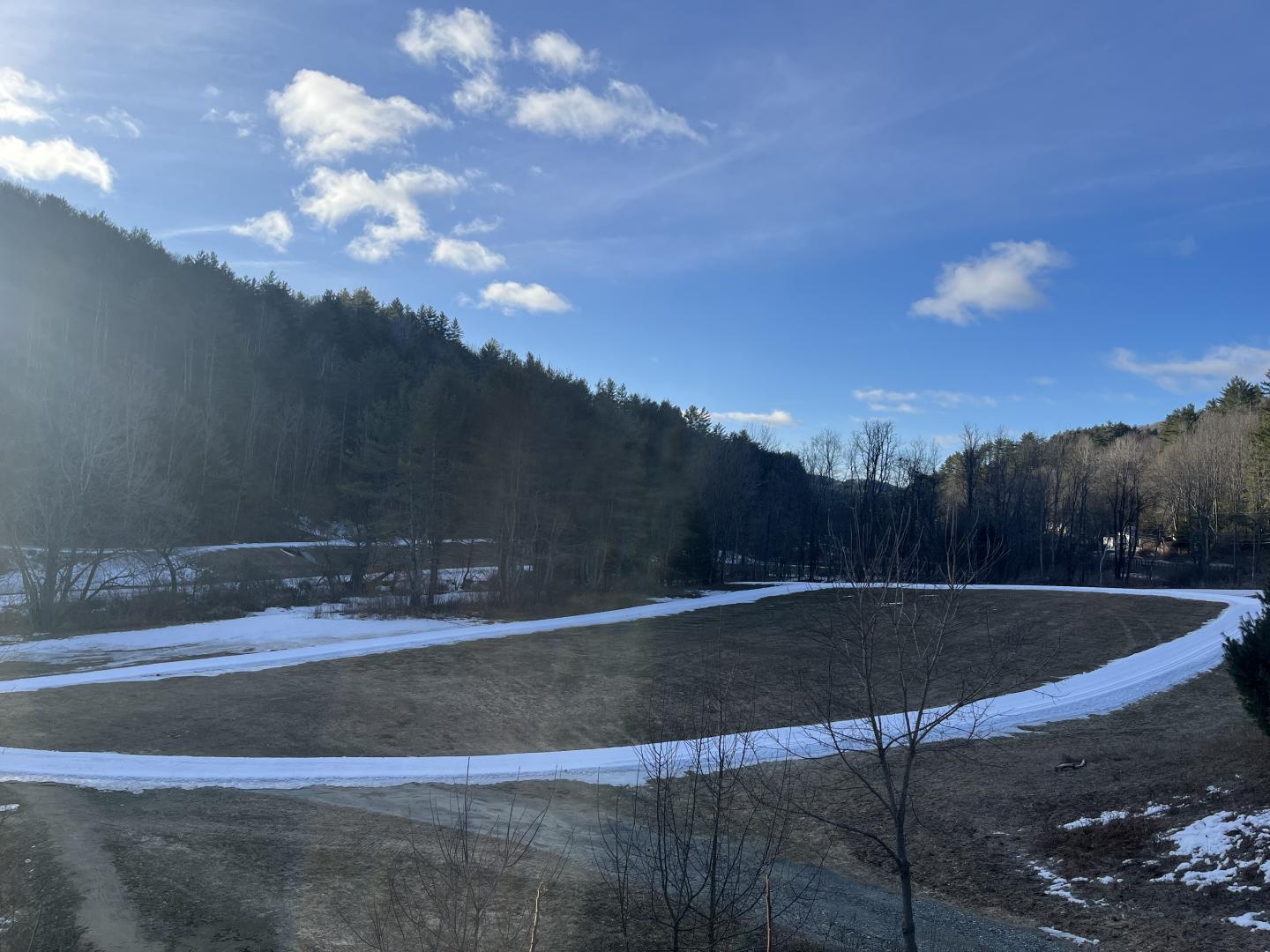 Snowy field with surrounding trees and a clear blue sky.