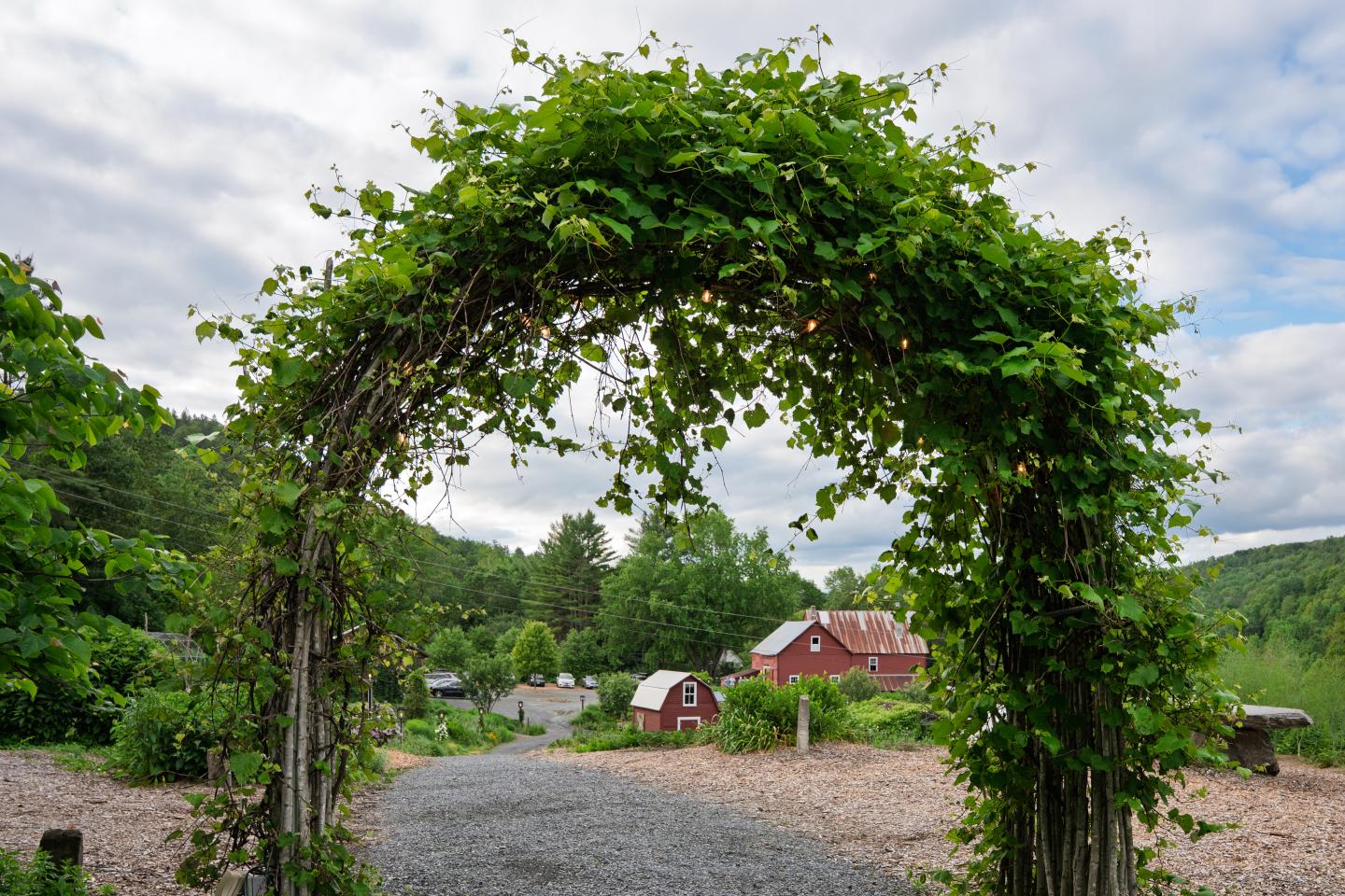 Q: What is your favorite place in Kelly Way Gardens?