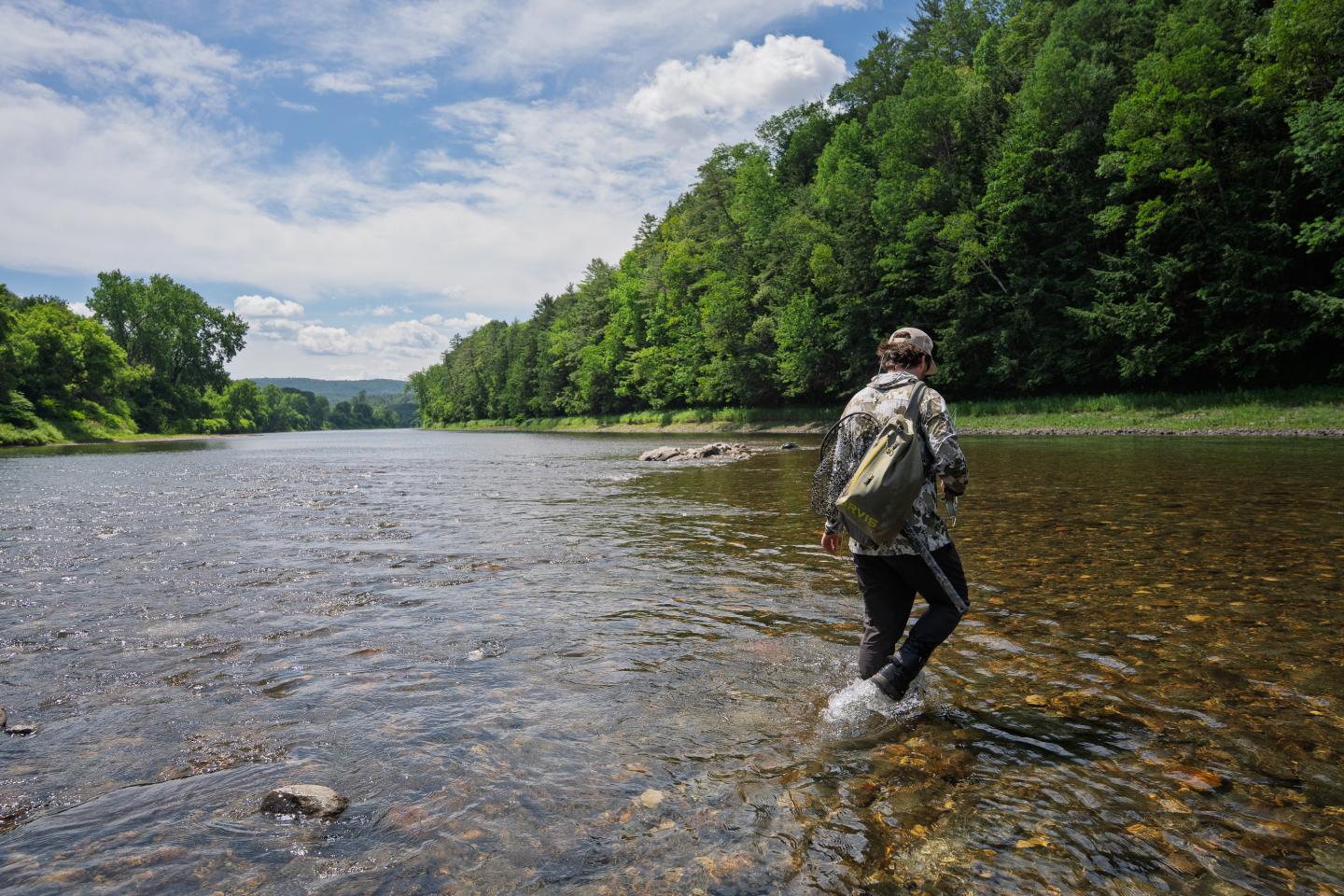 Person walking through a shallow river, surrounded by lush green trees.