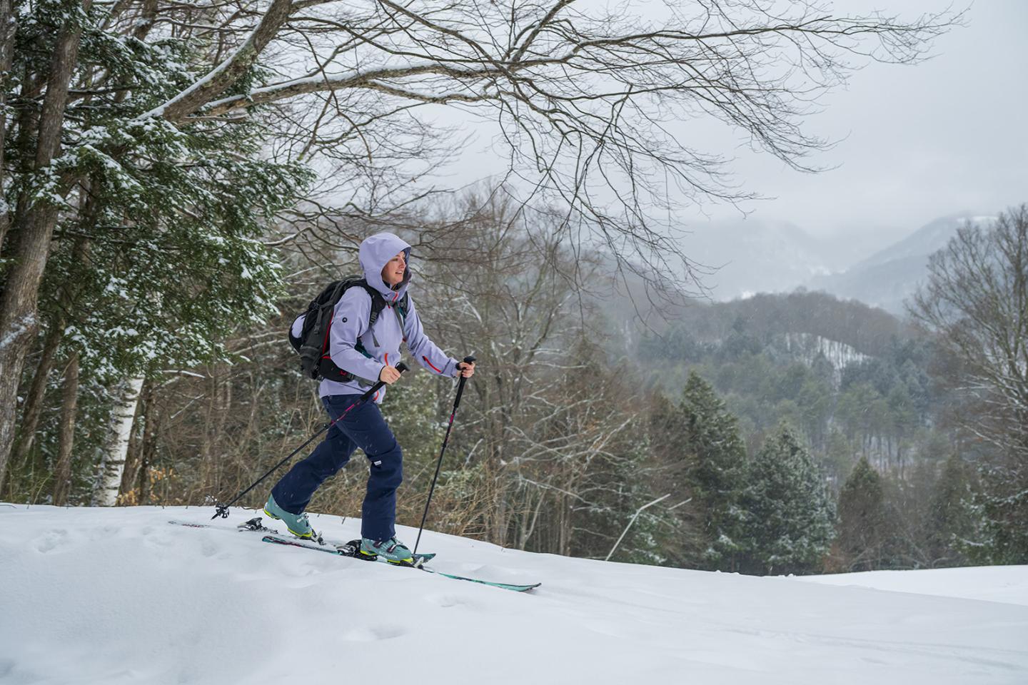 Person uphill skiing in a snowy forest.