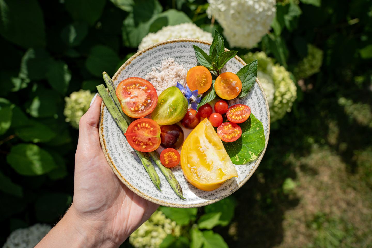 Hand holding a plate of colorful tomatoes and greens outdoors.