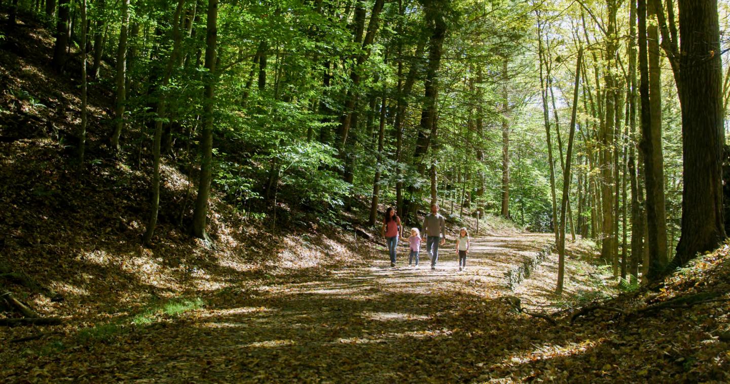 Hiking