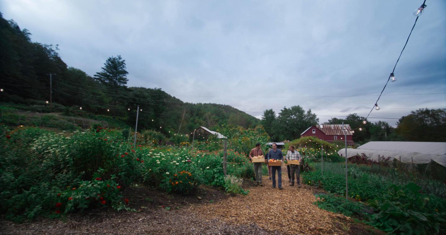 Farmers walking on a path in a garden with overcast sky and string lights.