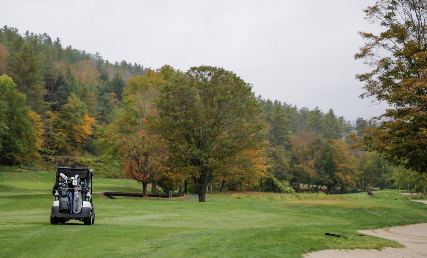 Golf cart on a green fairway beneath autumn trees.