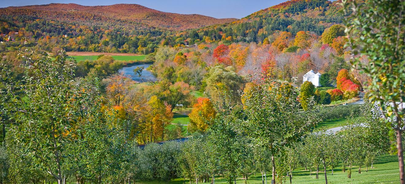 Autumn landscape with colorful trees, hills, and a river beneath a blue sky.