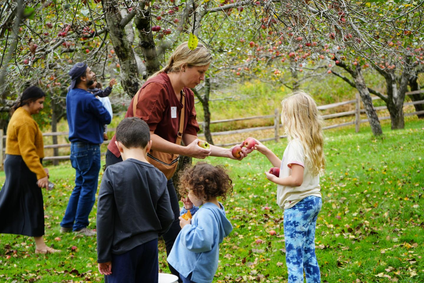 Harvest Celebration: 
