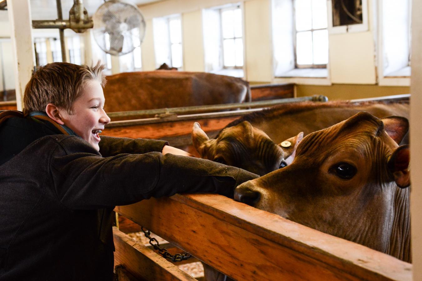 Weekends at Billings Farm & Museum