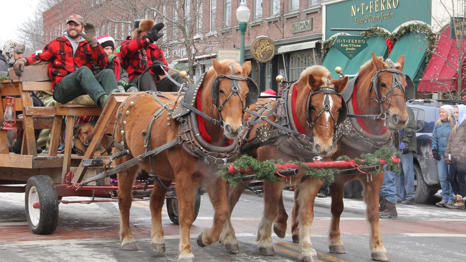 Wassail Weekend ~ 2018