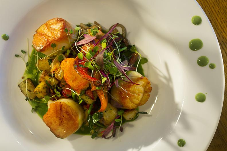 Scallops