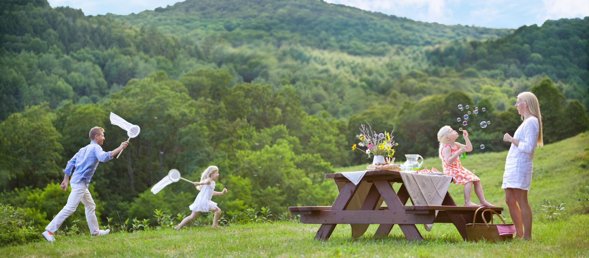 Family Picnic